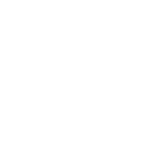 Sarah World Enterprises